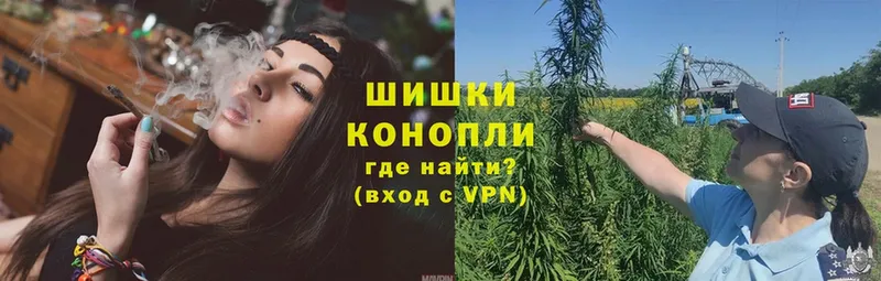 MEGA ссылка  Кушва  Бошки марихуана ГИДРОПОН  купить закладку 